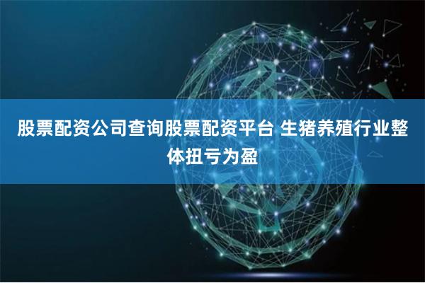 股票配资公司查询股票配资平台 生猪养殖行业整体扭亏为盈