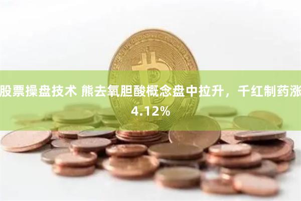 股票操盘技术 熊去氧胆酸概念盘中拉升，千红制药涨4.12%