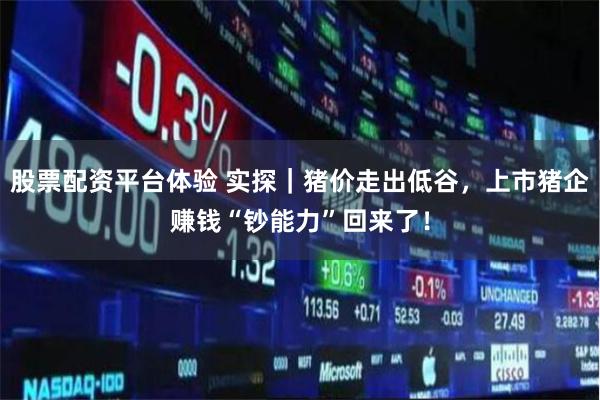 股票配资平台体验 实探｜猪价走出低谷，上市猪企赚钱“钞能力”回来了！