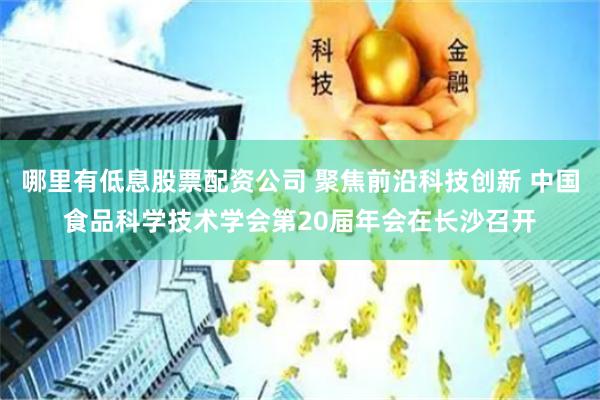哪里有低息股票配资公司 聚焦前沿科技创新 中国食品科学技术学会第20届年会在长沙召开