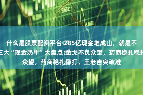 什么是股票配资平台 285亿现金堆成山，就是不爱分红！白云山三大“现金奶牛”大盘点:金戈不负众望，药商稳扎稳打，王老吉突破难