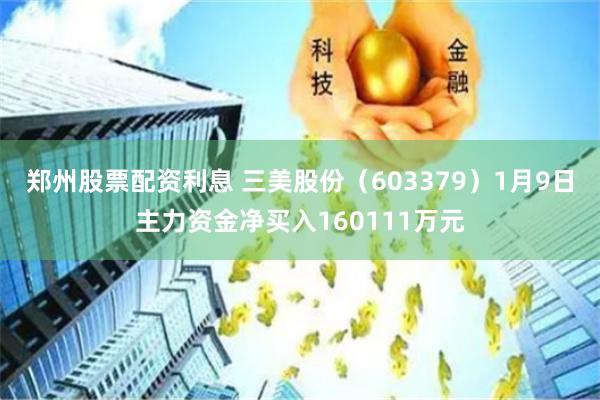 郑州股票配资利息 三美股份（603379）1月9日主力资金净买入160111万元